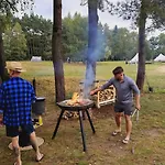 Glampine
