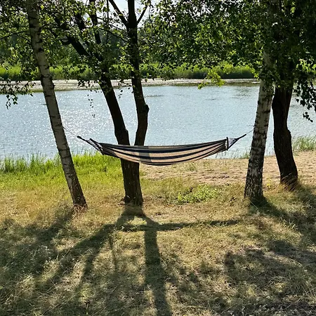Glampine