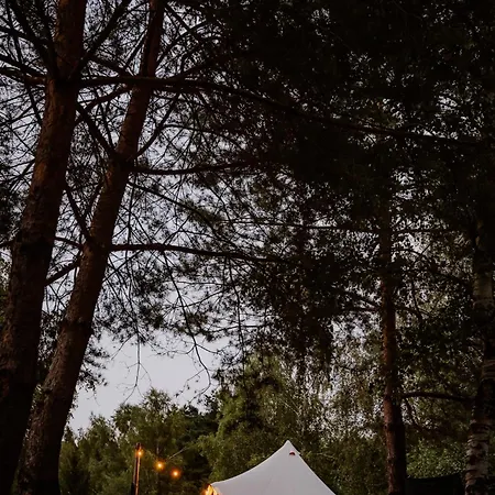 Glampine