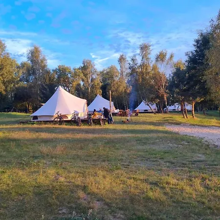 Glampine * Chocianow