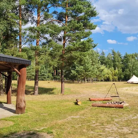 Luksusowy namiot Glampine Chocianow